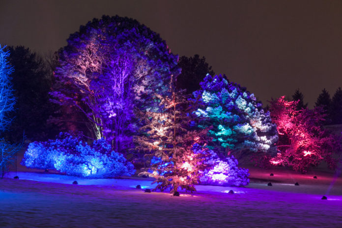 Morton Arboretum