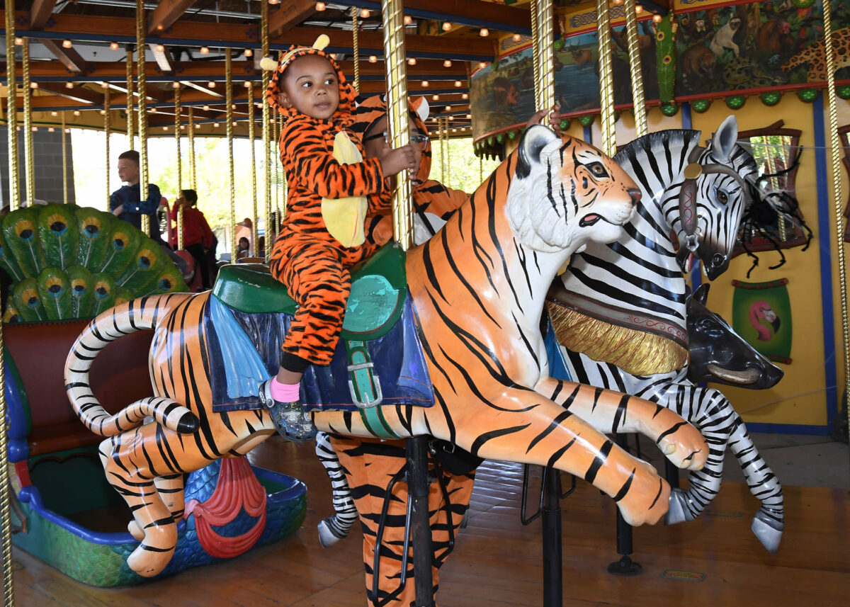 boo at brookfield zoo