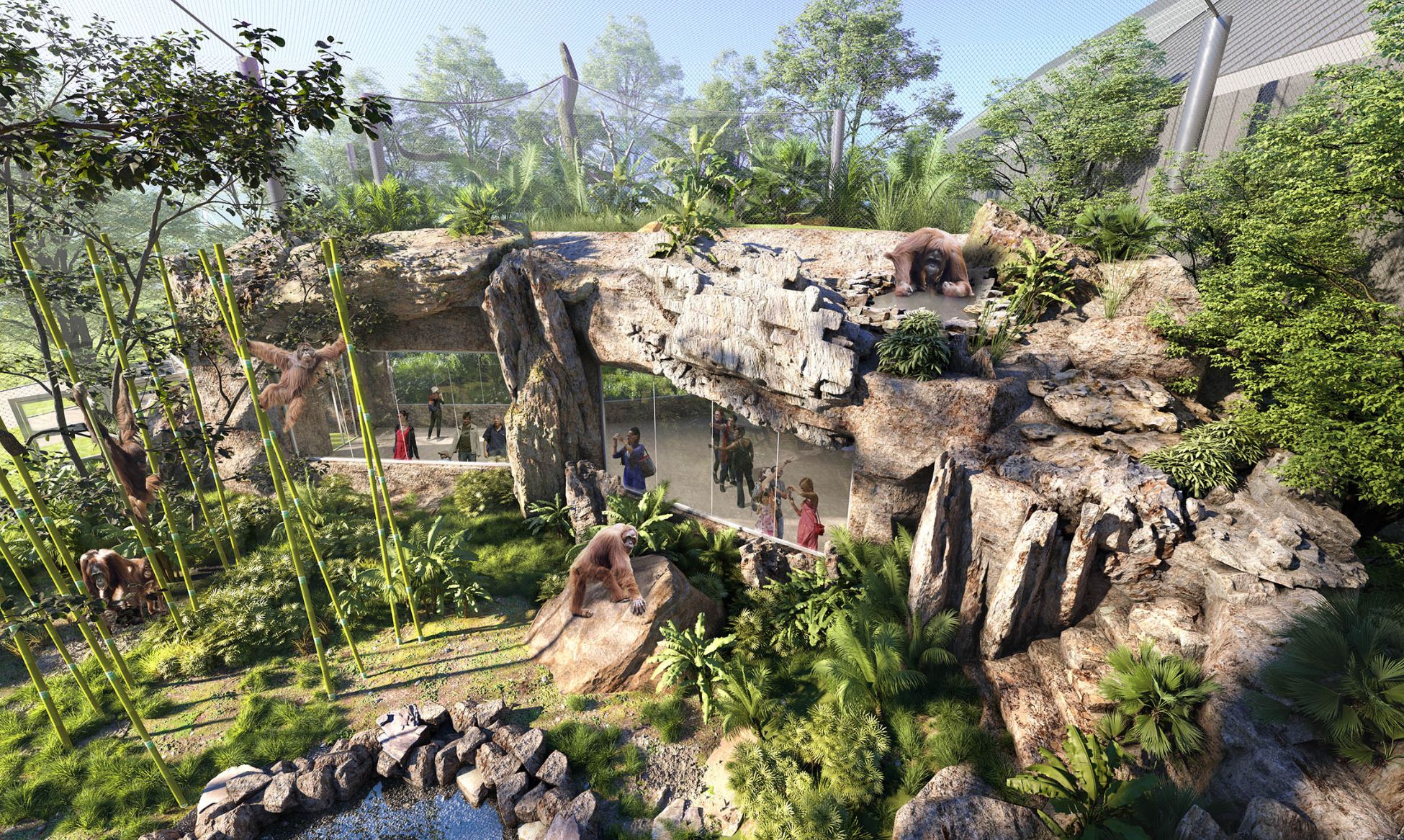 Tropical Forests at Brookfield Zoo