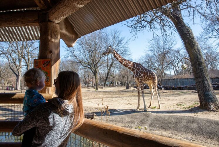 Brookfield Zoo Spring Fest
